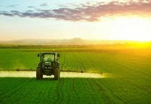 La Tunisie œuvre à connecter startups et secteur agricole pour un avenir agricole durable et résilient