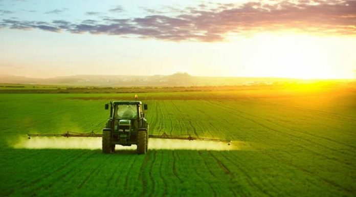 Mesures et recommandations pour renforcer le volet social du secteur agricole
