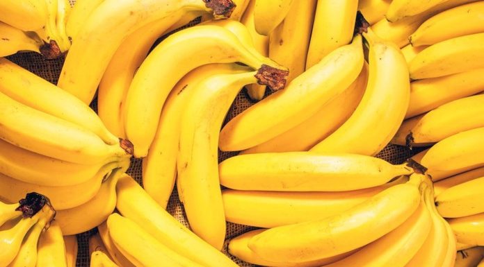 Saisie de plus d’une tonne de bananes de contrebande