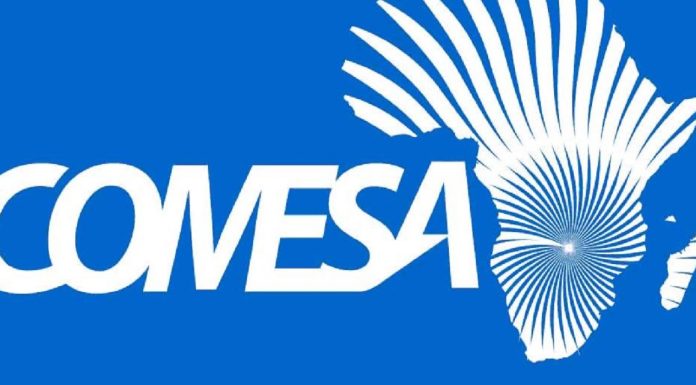 Samir Abid à la 9ème extraordinaire des ministres du Commerce du COMESA