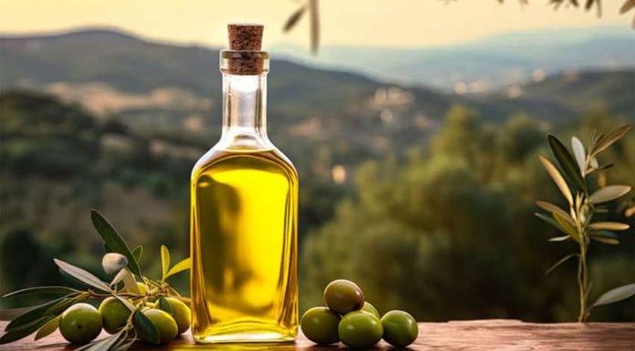 Huile d’olive : 108 mille tonnes exportées au dernier trimestre de 2025