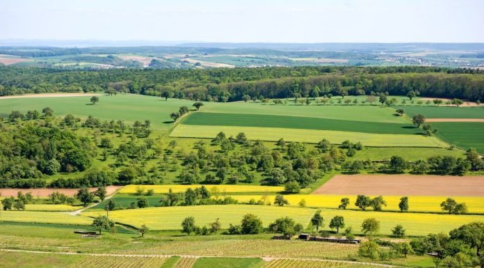 La FAO renforce les capacités nationales en matière de gestion des terres
