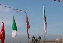 Tunisie-Algérie: Appel au renforcement de l’infrastructure entre les deux pays