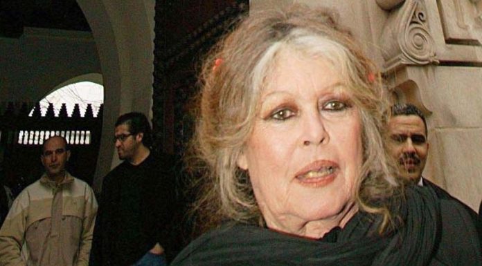 Brigitte Bardot, icône du cinéma français des années 1960, est décédée à l’âge de 91 ans