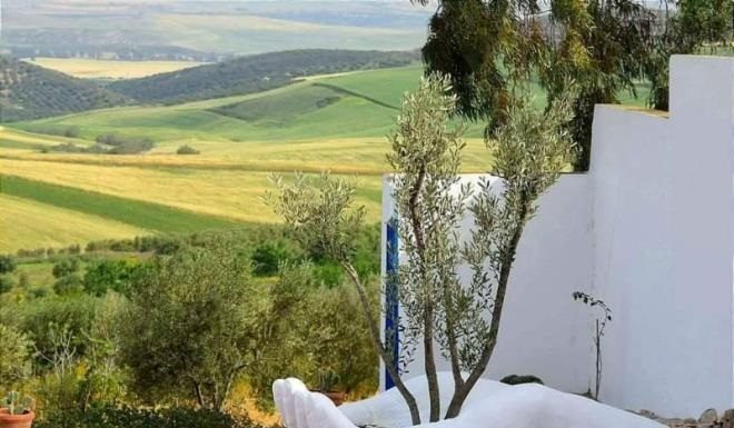 Béja : Nouvelle distinction internationale pour l’huile d’olive « Nasr Toukaber »