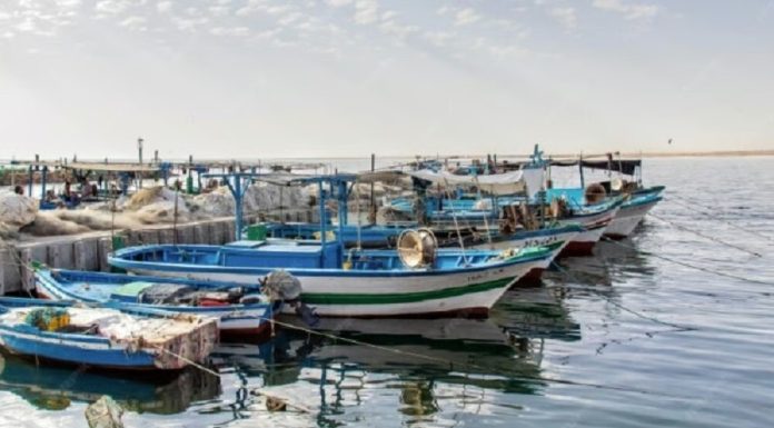 Le ministère de l’Agriculture appelle les marins-pêcheurs à faire preuve de prudence