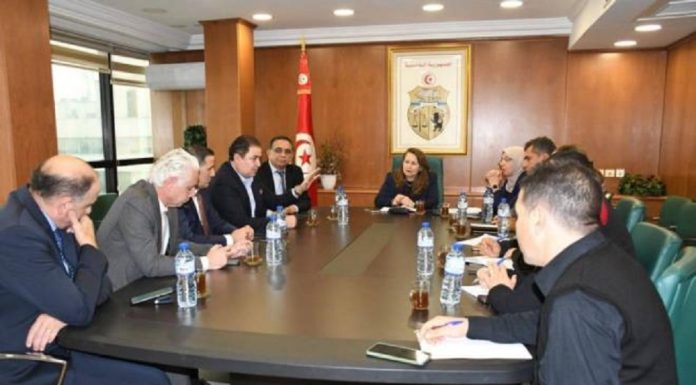 Examen des moyens de développer l’investissement des entreprises à participation étrangères en Tunisie