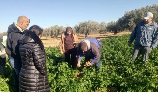 Vulgarisation et formation agricole à Moknine et Bembla
