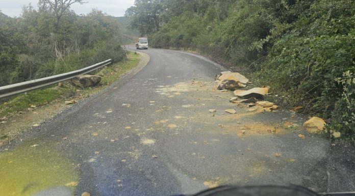 Jendouba-Intempéries : Plusieurs routes endommagées