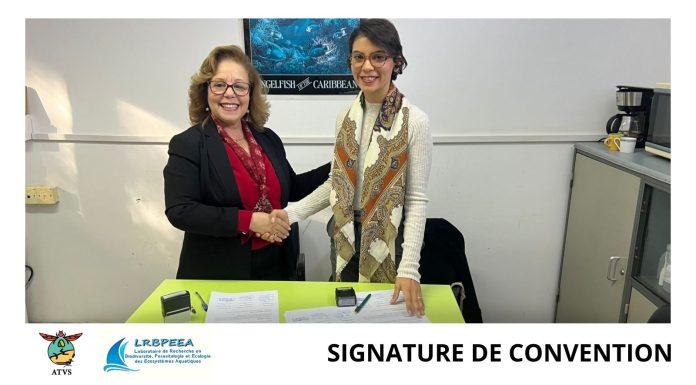 Biodiversité : Partenariat scientifique pour la protection des élasmobranches en Tunisie