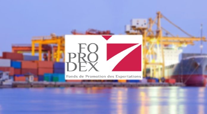 77,541 MD alloués au FOPRODEX en 2025
