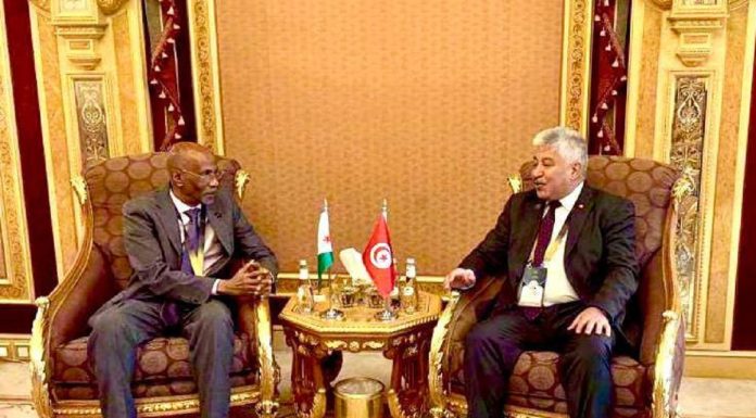 Vers un accord bilatéral Tunisie-Djibouti dans la formation professionnelle, de l’emploi
