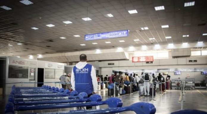 OIM Tunisie:8 853 migrants assistés en 2025 dans le cadre du programme d’aide au retour volontaire et à la réintégration