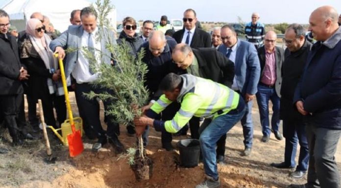 Reboisement des autoroutes : les travaux débutent à Mahdia et Sfax