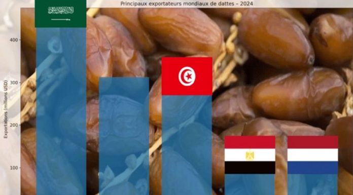 Dattes : la Tunisie dans la guerre mondiale des parts de marché