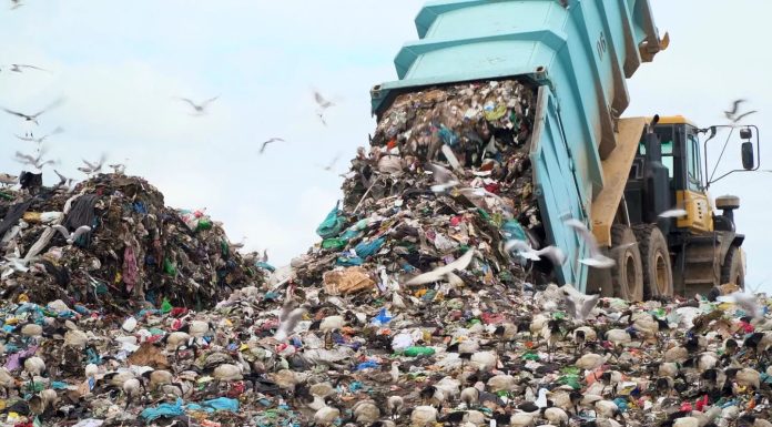 Les déchets importés d’Europe destinés au recyclage