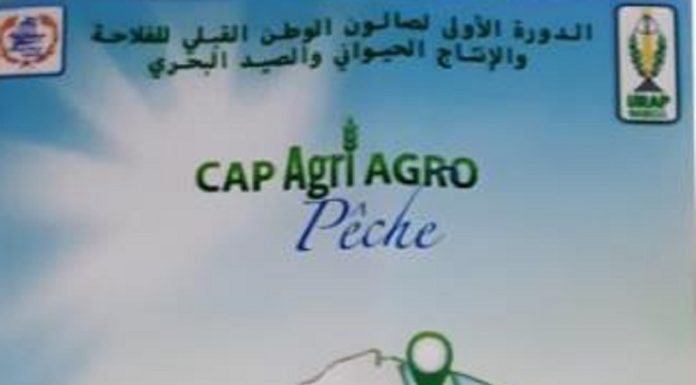 Nabeul : Première édition du Salon du Cap Bon de l’agriculture, de l’élevage et de la pêche