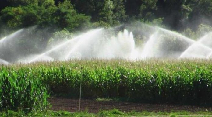 Ouverture des candidatures pour RAIA destiné à soutenir l’agriculture responsable