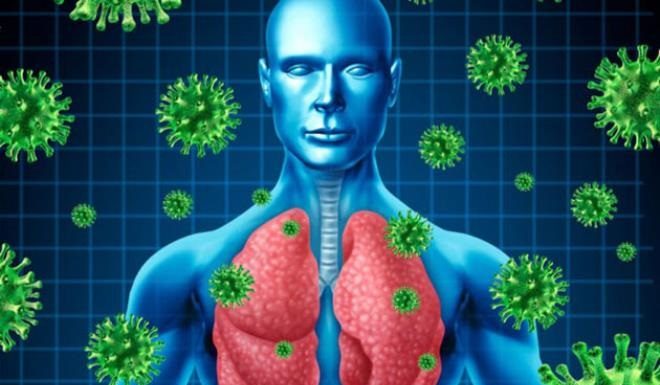 Rôle des vétérinaires dans le cadre de l’approche » Une santé unique et un développement durable »