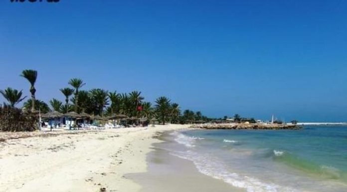Djerba Midoun : Projet pilote pour protéger le littoral et fixer les dunes