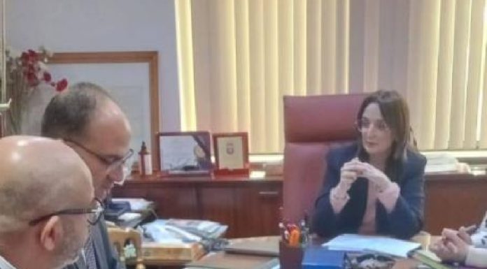 La Municipalité de Tunis examine un projet de traitement des déchets verts
