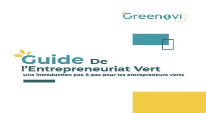 Un Guide de l’Entrepreneuriat Vert pour la transition écologique