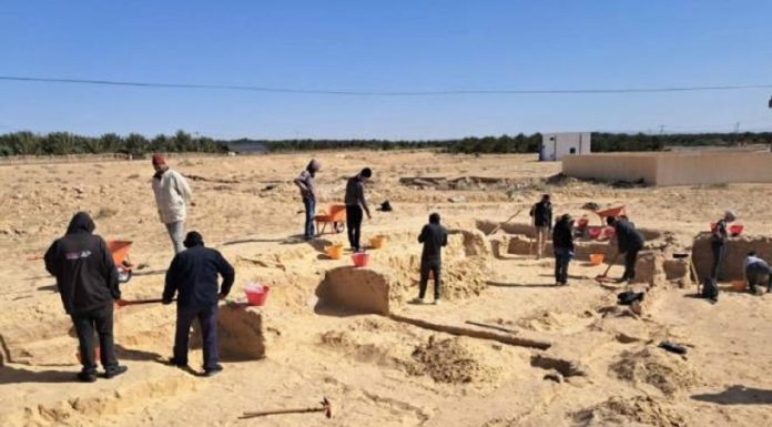 Le projet tuniso-italien de recherche et de valorisation du site archéologique « Koustiliya » au cœur d’une mission de terrain dans le sud tunisien