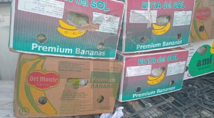 Manouba : Saisie de 47 quintaux de farine subventionnée à Denden