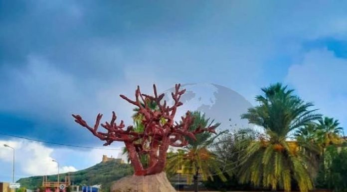 Jendouba : Taïeb Dridi appelle à anticiper pour réussir la saison touristique