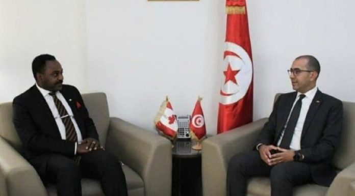 Le Canada veut coopérer en énergies renouvelables en Tunisie