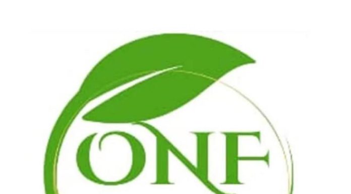 L’ONF fixe les prix et modalités de vente du maïs conditionné