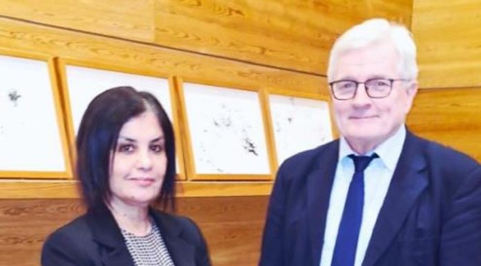 Tunisie–Finlande : Echanges sur le partenariat avec l’UE