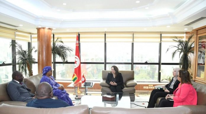 Tunisie- Guinée : partenariat industriel et intégration Sud-Sud