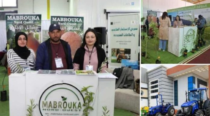 Kasserine: 1er Salon de l’investissement agricole et des ER