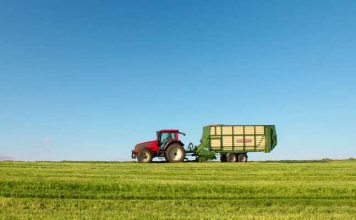 Maroc : L’agriculture propulse la croissance à 5,4% au troisième trimestre 2026
