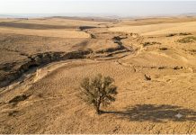 Les très mauvaises prévisions, de la BAD à la Tunisie, pour la sécheresse