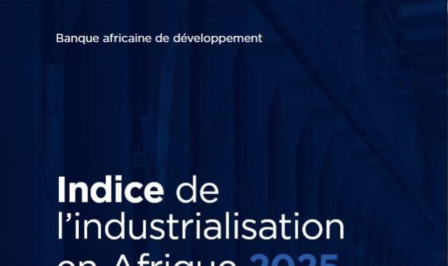 Indice de l’industrialisation en Afrique : La Tunisie au top 5