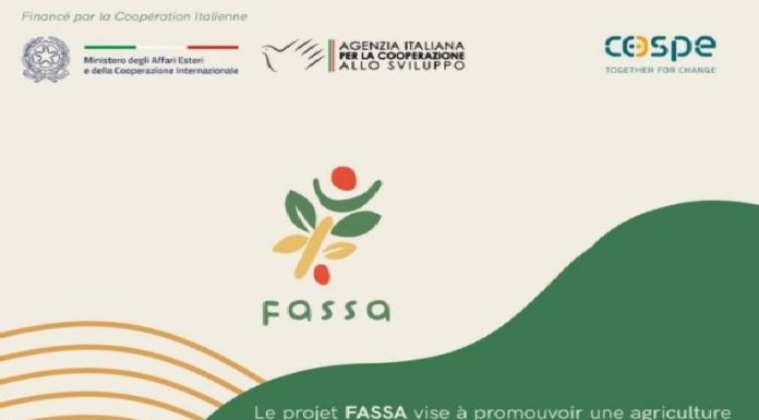 Projet de développement des filières fourragère et laitière