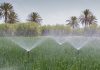 Greenpeace pour une irrigation par énergies renouvelables