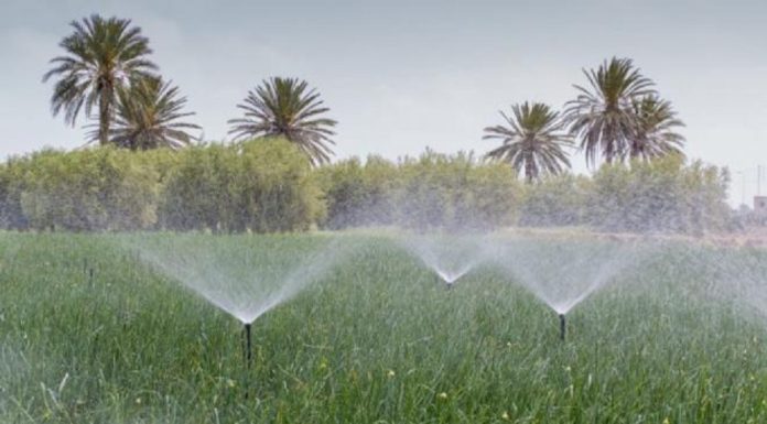 Greenpeace pour une irrigation par énergies renouvelables
