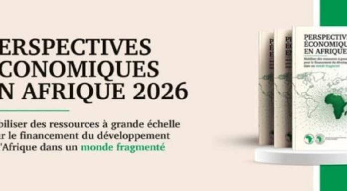 Pour mobiliser les financements, diversifier les partenaires