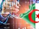 L’Algérie veut faire du tourisme « un levier de diversification économique »