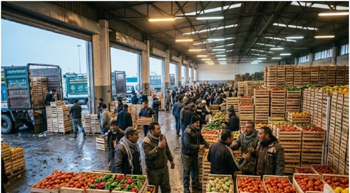 SOTUMAG, ou la rente du passage comme modèle économique dominant