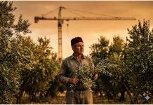 Croissance du PIB 1er Tr 26 : Là où ça a marché. Là où ça a coincé !