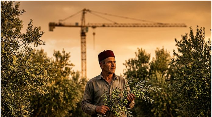 Croissance du PIB 1er Tr 26 : Là où ça a marché. Là où ça a coincé !