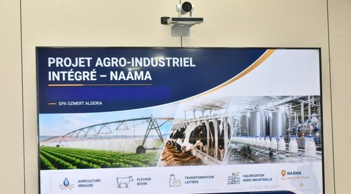 Première grande ferme intégrée turque en Algérie