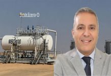 Lotfi Fourati, l’homme tout-terrain de la stratégie africaine de Tende Energy