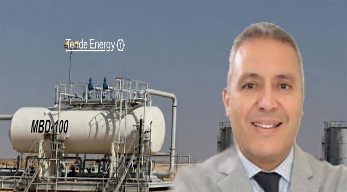 Lotfi Fourati, l’homme tout-terrain de la stratégie africaine de Tende Energy