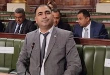 Jelassi: 102 MDT d’investissements dans le plan de développement 2026-2030