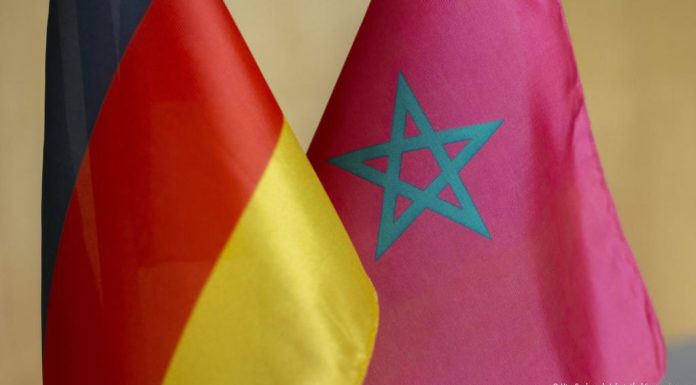 Maroc: Envolée des exportations de concombres vers l’Allemagne
